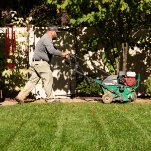 Aerating Lawn