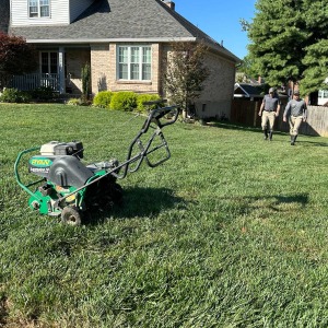 Lawn Aeration