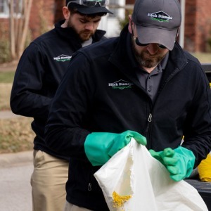 Professional Grade Fertilizer